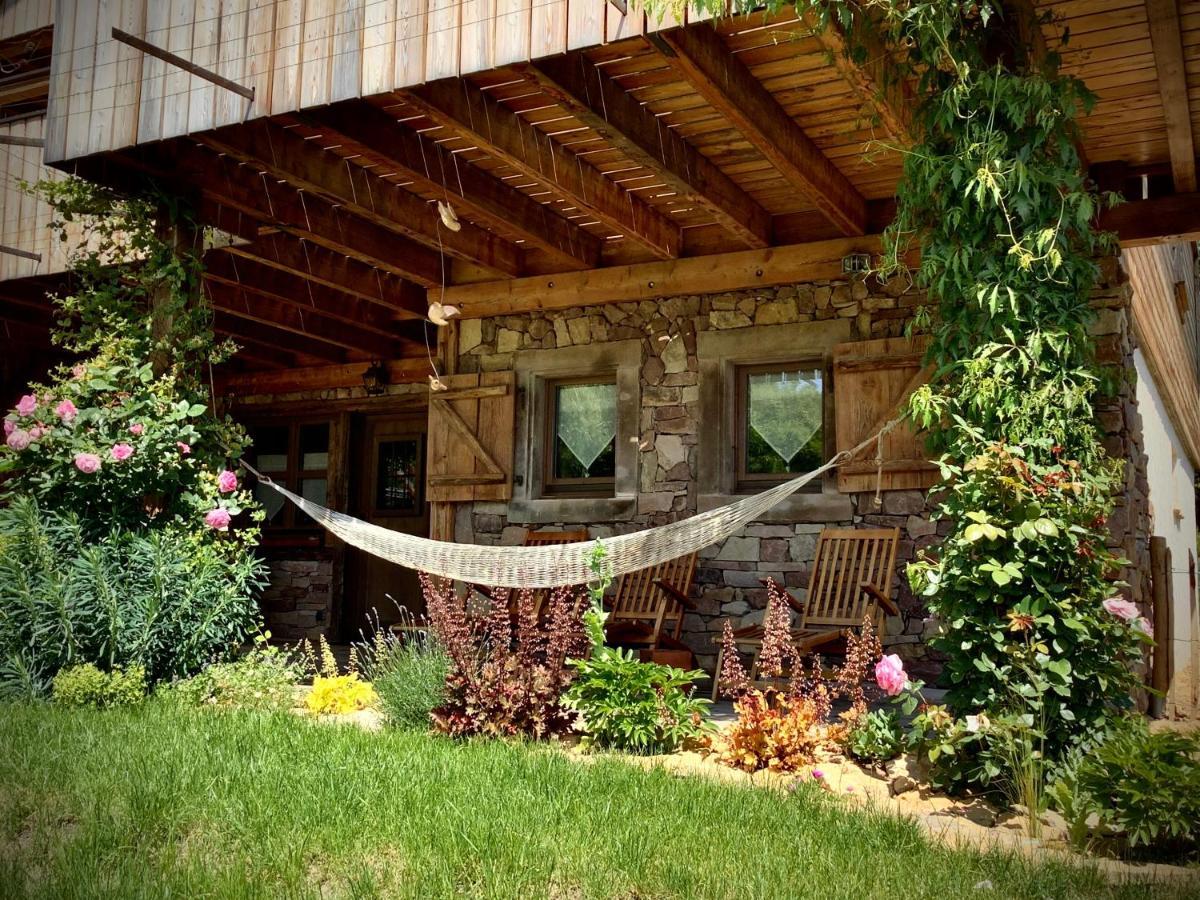 Chalet Du Silberrain Pres De Colmar - Cheminee, Sauna, Piscine Partagee Osenbach Zewnętrze zdjęcie