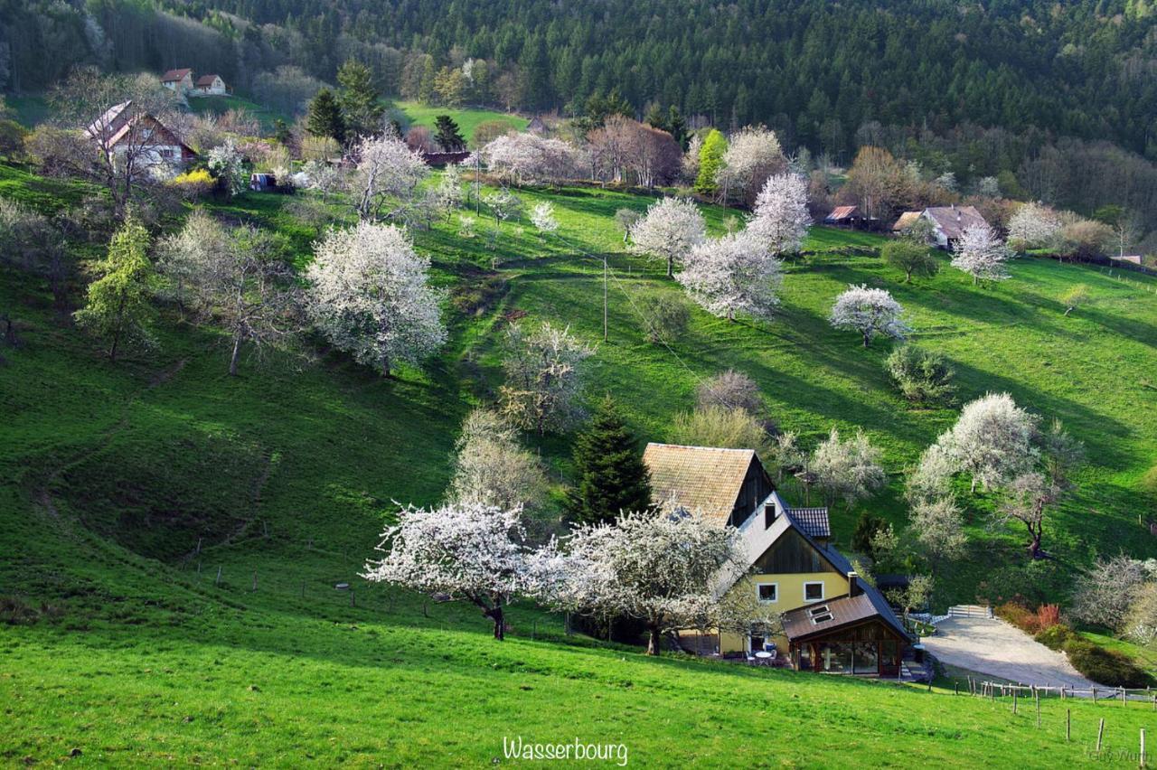 Chalet Du Silberrain Pres De Colmar - Cheminee, Sauna, Piscine Partagee Osenbach Zewnętrze zdjęcie