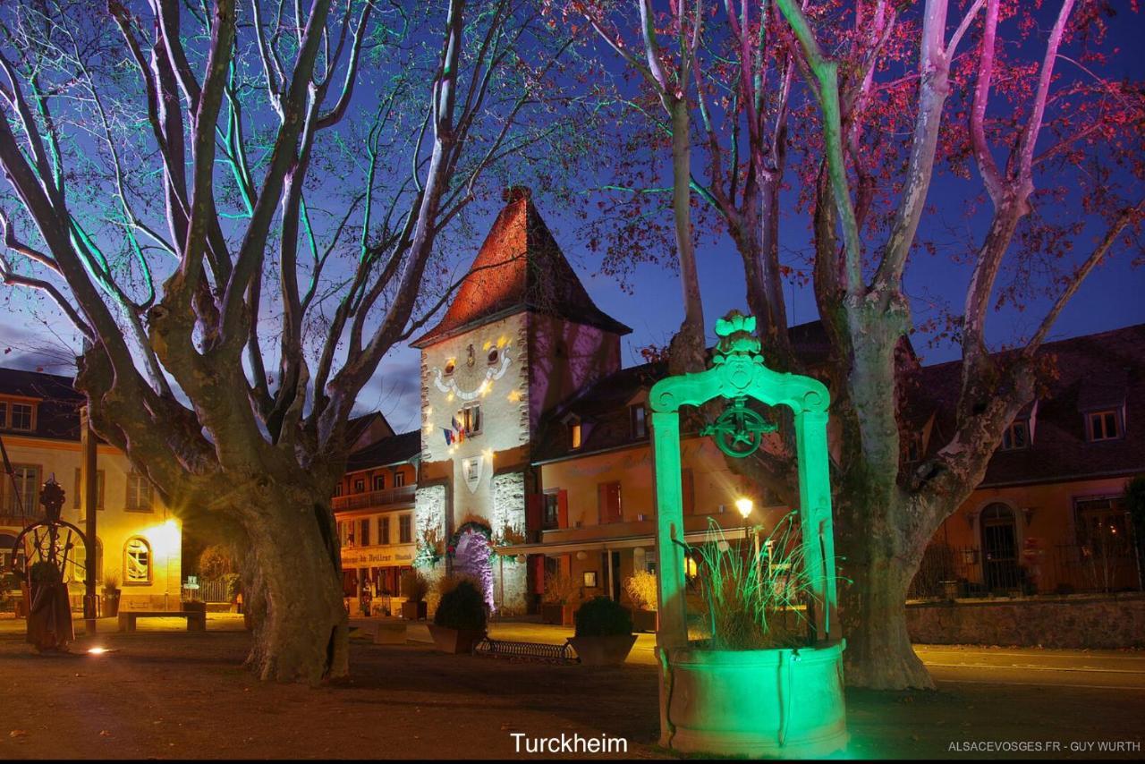 Chalet Du Silberrain Pres De Colmar - Cheminee, Sauna, Piscine Partagee Osenbach Zewnętrze zdjęcie