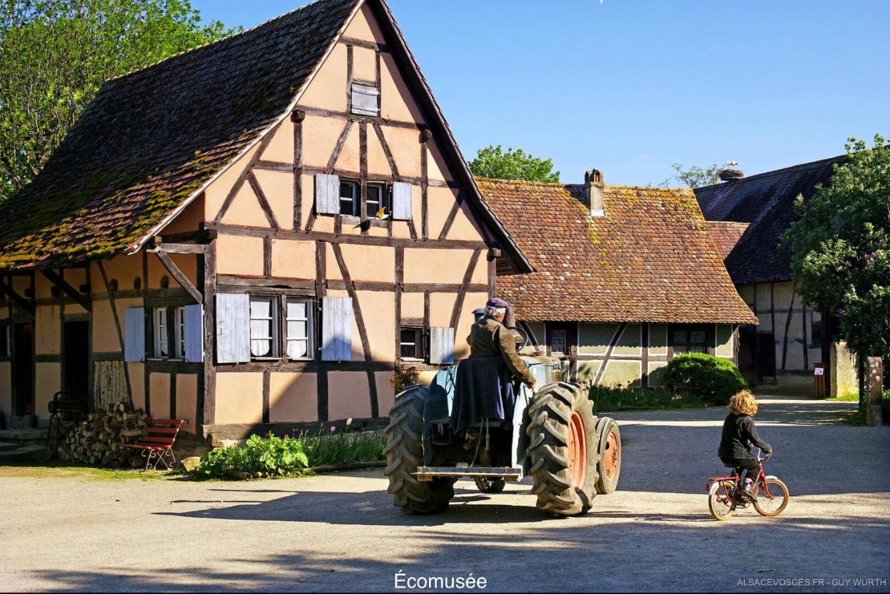 Chalet Du Silberrain Pres De Colmar - Cheminee, Sauna, Piscine Partagee Osenbach Zewnętrze zdjęcie