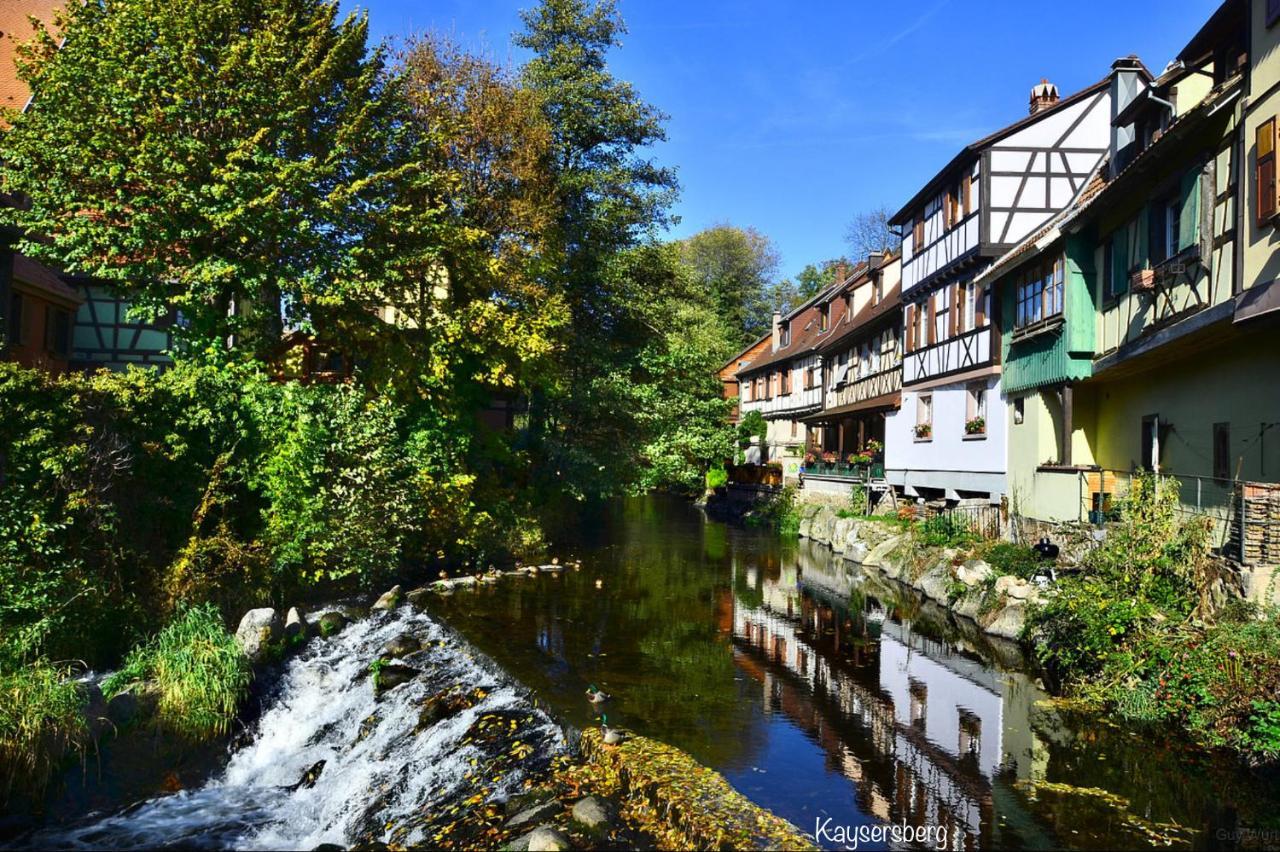 Chalet Du Silberrain Pres De Colmar - Cheminee, Sauna, Piscine Partagee Osenbach Zewnętrze zdjęcie